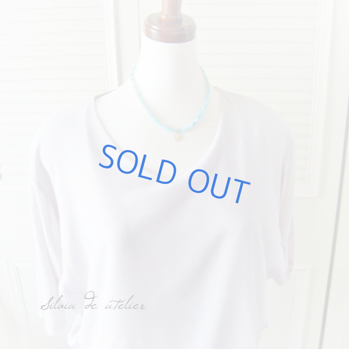 画像4: 14kgfサンドダラー アマゾナイト ショートネックレス (4)