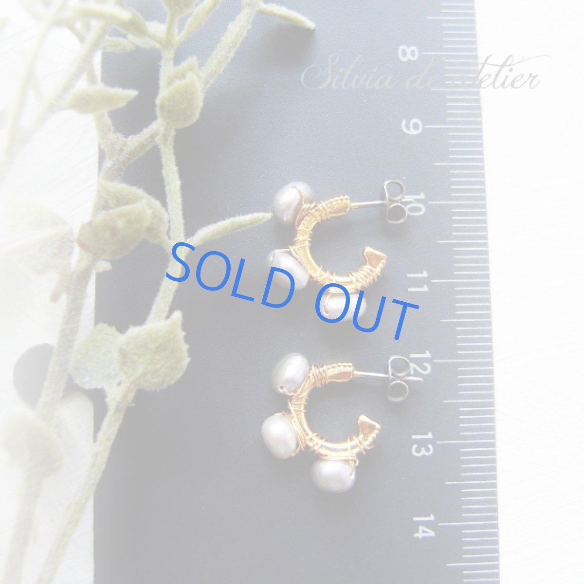 画像2: グレー淡水パール　ゴールドメッキフープ　チタンポスト　ピアス (2)