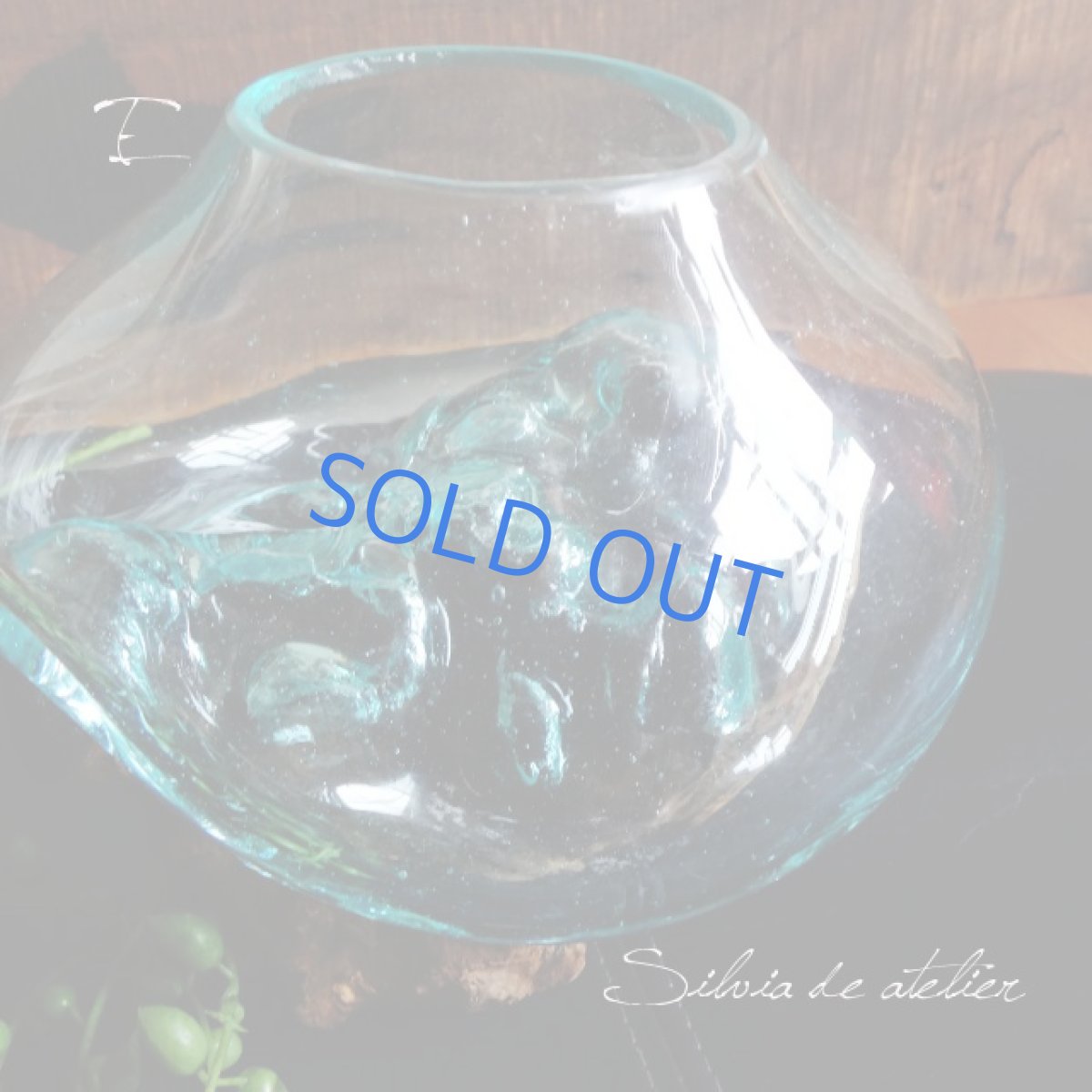 画像5: ＜浄化用・E＞LL粒高品質クリスタルチップ付き　流木ガラスセット　テラリウムポット (5)