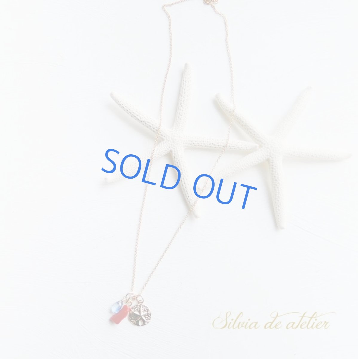 画像5: 残り1 高知沖産 天然レッドコーラル カイヤナイト付き 14kgf40cmネックレス (5)