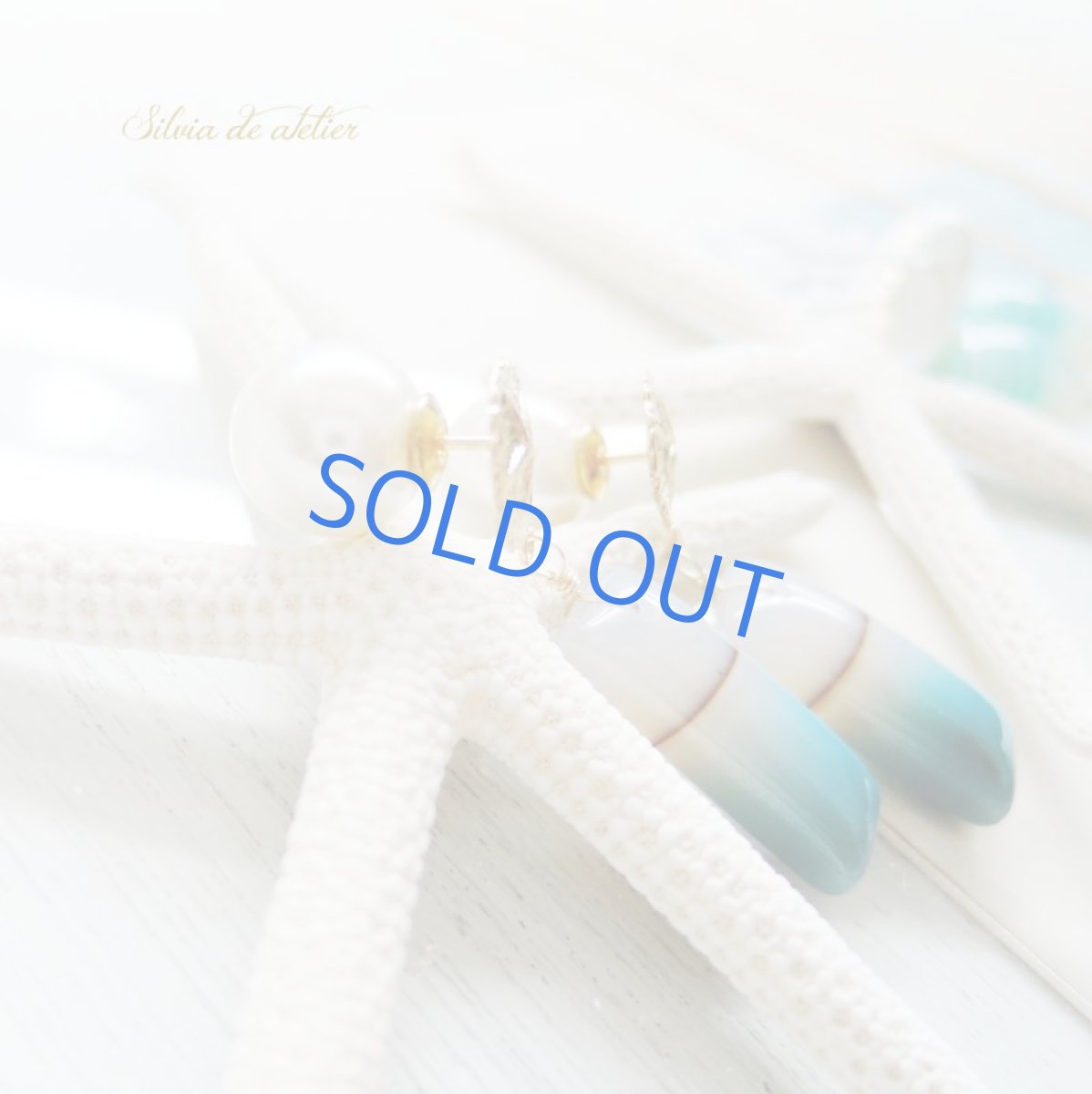 画像3: 【1点もの・海と風のある風景B】ボツワナアゲート 細長 サンドダラー14kgfスタッドピアス (3)