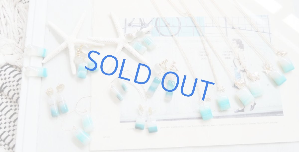 画像6: 【1点もの・海と風のある風景B】ボツワナアゲート 細長 サンドダラー14kgfスタッドピアス (6)