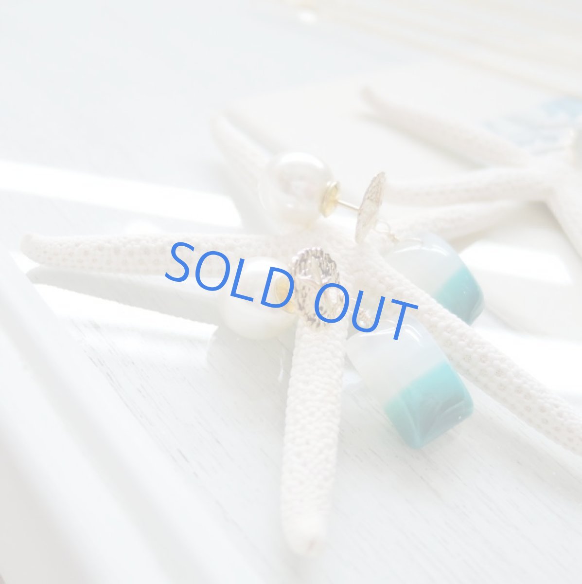 画像6: 【1点もの・海と風のある風景C】ボツワナアゲート レクタングル サンドダラー14kgfスタッドピアス (6)