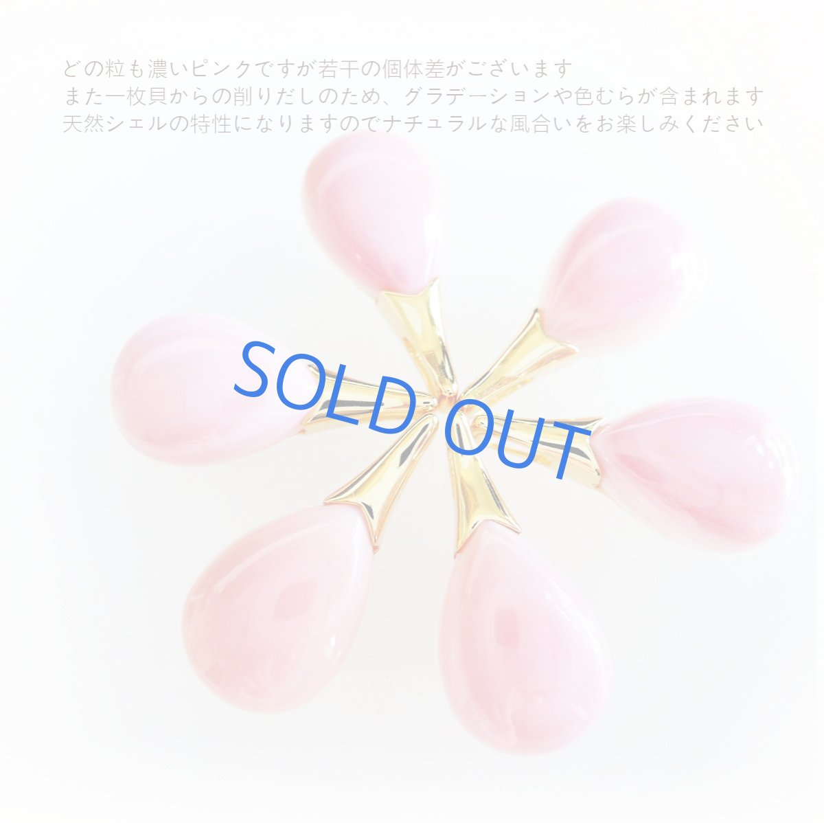 画像3: 【残り2】花びらのような　最高品質　カリブ海産クイーンコンクシェル　カボション　サージカルステンレスネックレス50cm (3)