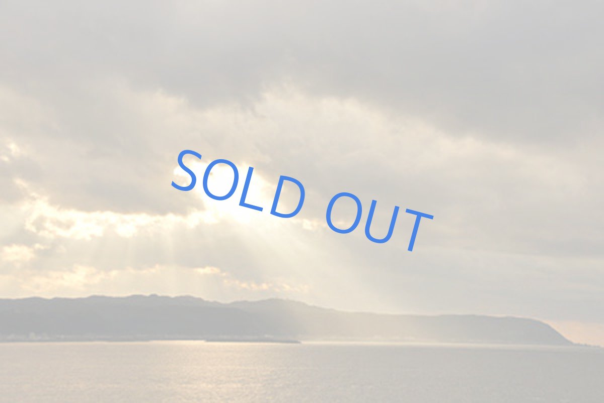 画像9: 【1点もの・C細長】エンジェルラダークォーツ　原石スライス　サージカルステンレスシルバー45＋5cmネックレス (9)