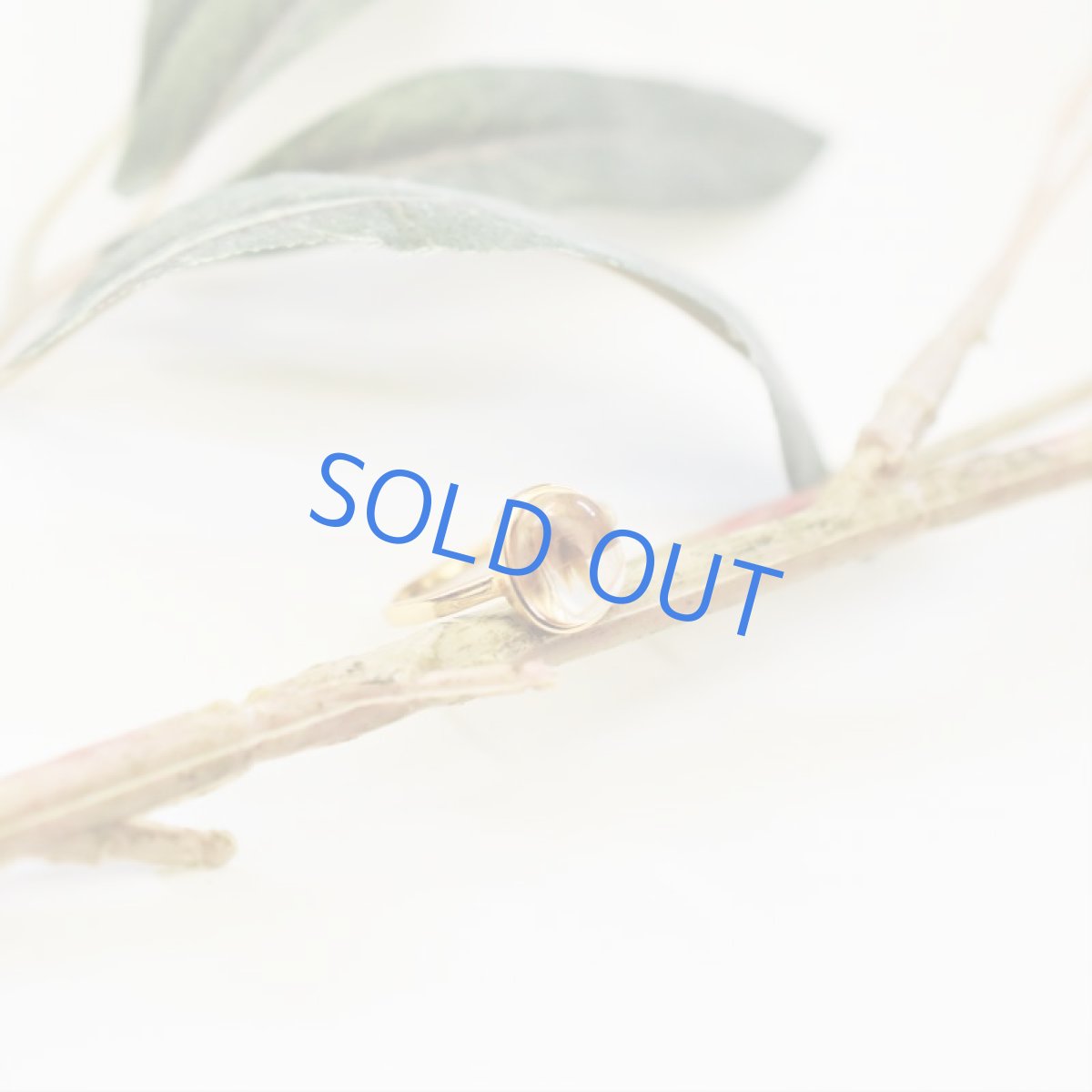 画像9: 【B・フリーサイズ】タイチンルチルクォーツ ゴールドリング(指輪) (9)