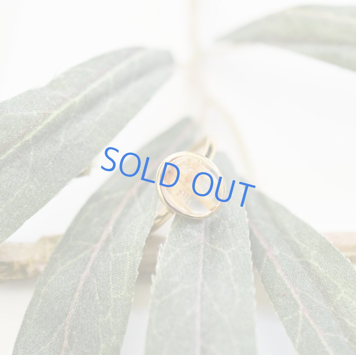 画像8: 【C・フリーサイズ】タイチンルチルクォーツ ゴールドリング(指輪) (8)