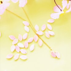 画像5: 半額SALE【限定数のみ】花筏　桜の花びら　クイーンコンクシェル　サージカルステンレスネックレス40cm  (5)