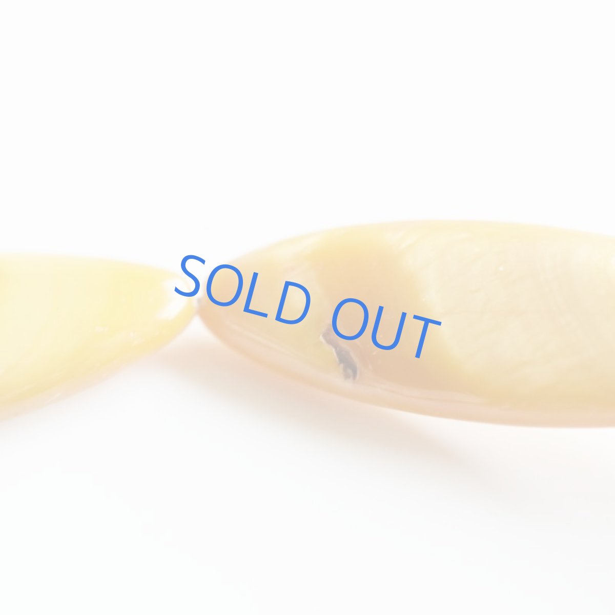 画像3: 【各限定1・SELECT】カラーシェル ロングネックレス 約79+5cm (3)