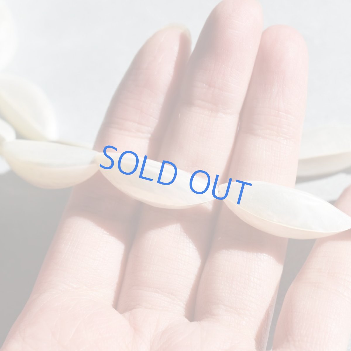 画像5: 【限定数のみ】シェルパール(トロカシェル）　連なり三日月　ショートネックレス約46cm+5cm (5)