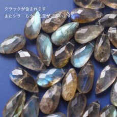 画像2: 【選べる・限定6ペア】レオパード柄シェル　ラブラドライトフリンジ　個性派ピアス（14KGF）  (2)
