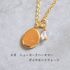 画像7: 【限定数】サージカルステンレス　レタリングコイン　誕生石　ネックレス（シルバー・ゴールド）45cm  (7)