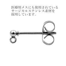 画像3: フープピアス追加！【変更用カート】EARパーツ金具変更カート（パーツ販売不可） (3)