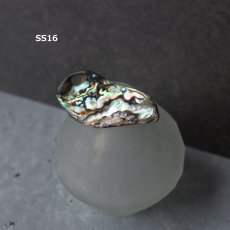 画像20: 秋の新作【1点もの・選べる・SSサイズ】ニュージーランド産　パウア貝　ポニーフック（ヘアゴム用）  (20)