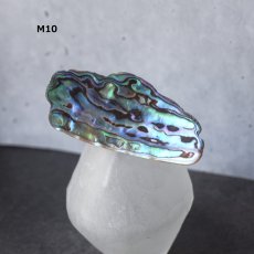 画像16: Ceema特集掲載【1点もの・選べる・Mサイズ】ニュージーランド産　パウア貝　ポニーフック（ヘアゴム用）   (16)