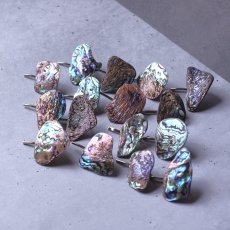 画像6: 秋の新作【1点もの・選べる・SSサイズ】ニュージーランド産　パウア貝　ポニーフック（ヘアゴム用）  (6)