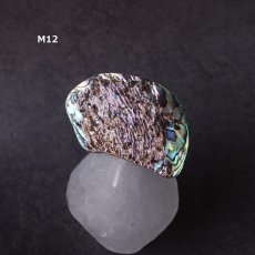 画像18: Ceema特集掲載【1点もの・選べる・Mサイズ】ニュージーランド産　パウア貝　ポニーフック（ヘアゴム用）   (18)