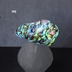 画像14: Ceema特集掲載【1点もの・選べる・Mサイズ】ニュージーランド産　パウア貝　ポニーフック（ヘアゴム用）   (14)