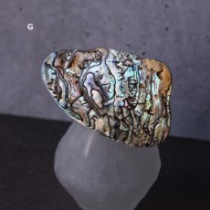 画像11: 秋の新作【1点もの・選べる・Lサイズ】ニュージーランド産　パウア貝　ポニーフック（ヘアゴム用）  (11)