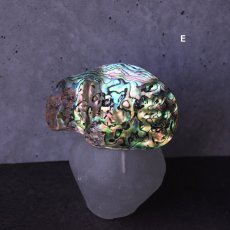 画像9: 秋の新作【1点もの・選べる・Lサイズ】ニュージーランド産　パウア貝　ポニーフック（ヘアゴム用）  (9)