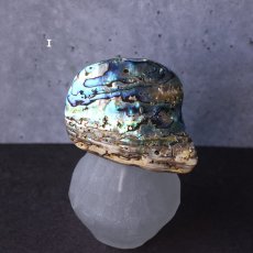 画像13: 秋の新作【1点もの・選べる・Lサイズ】ニュージーランド産　パウア貝　ポニーフック（ヘアゴム用）  (13)