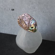 画像14: 秋の新作【1点もの・選べる・Sサイズ】ニュージーランド産　パウア貝　ポニーフック（ヘアゴム用）  (14)