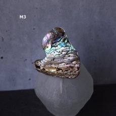 画像9: Ceema特集掲載【1点もの・選べる・Mサイズ】ニュージーランド産　パウア貝　ポニーフック（ヘアゴム用）   (9)