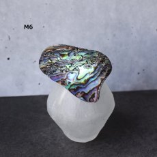 画像12: Ceema特集掲載【1点もの・選べる・Mサイズ】ニュージーランド産　パウア貝　ポニーフック（ヘアゴム用）   (12)