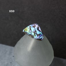 画像14: 秋の新作【1点もの・選べる・XSサイズ】ニュージーランド産　パウア貝　ポニーフック（ヘアゴム用）  (14)