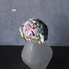 画像15: Ceema特集掲載【1点もの・選べる・Mサイズ】ニュージーランド産　パウア貝　ポニーフック（ヘアゴム用）   (15)