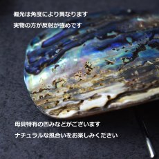 画像4: 秋の新作【1点もの・選べる・Lサイズ】ニュージーランド産　パウア貝　ポニーフック（ヘアゴム用）  (4)