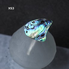 画像8: 秋の新作【1点もの・選べる・XSサイズ】ニュージーランド産　パウア貝　ポニーフック（ヘアゴム用）  (8)