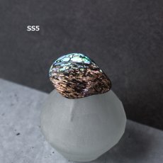 画像12: 秋の新作【1点もの・選べる・SSサイズ】ニュージーランド産　パウア貝　ポニーフック（ヘアゴム用）  (12)