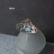 画像22: 秋の新作【1点もの・選べる・SSサイズ】ニュージーランド産　パウア貝　ポニーフック（ヘアゴム用）  (22)