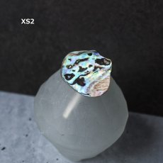 画像7: 秋の新作【1点もの・選べる・XSサイズ】ニュージーランド産　パウア貝　ポニーフック（ヘアゴム用）  (7)