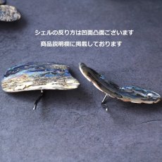 画像2: 秋の新作【1点もの・選べる・Lサイズ】ニュージーランド産　パウア貝　ポニーフック（ヘアゴム用）  (2)