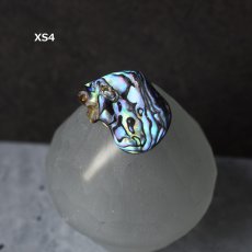 画像9: 秋の新作【1点もの・選べる・XSサイズ】ニュージーランド産　パウア貝　ポニーフック（ヘアゴム用）  (9)