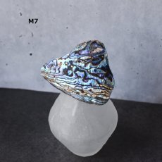 画像13: Ceema特集掲載【1点もの・選べる・Mサイズ】ニュージーランド産　パウア貝　ポニーフック（ヘアゴム用）   (13)