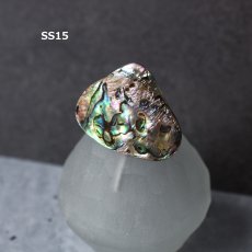 画像23: 秋の新作【1点もの・選べる・SSサイズ】ニュージーランド産　パウア貝　ポニーフック（ヘアゴム用）  (23)