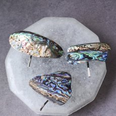 画像1: Ceema特集掲載【1点もの・選べる・Mサイズ】ニュージーランド産　パウア貝　ポニーフック（ヘアゴム用）   (1)