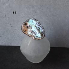 画像12: 秋の新作【1点もの・選べる・Sサイズ】ニュージーランド産　パウア貝　ポニーフック（ヘアゴム用）  (12)