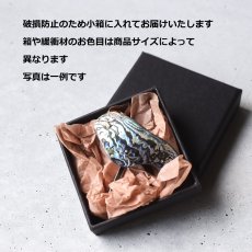 画像19: 秋の新作【1点もの・選べる・Lサイズ】ニュージーランド産　パウア貝　ポニーフック（ヘアゴム用）  (19)