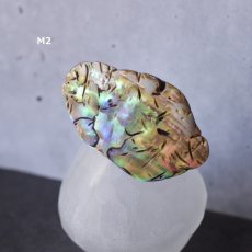 画像8: Ceema特集掲載【1点もの・選べる・Mサイズ】ニュージーランド産　パウア貝　ポニーフック（ヘアゴム用）   (8)
