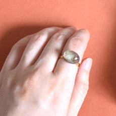 画像14: 秋の新作【選べる・12号〜】テラリウム　ガーデンクォーツ　庭園クォーツ　サージカルステンレスリング(指輪）  (14)