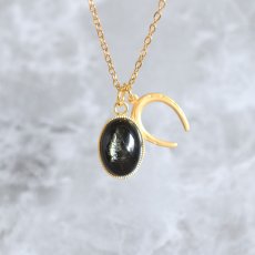 画像1:  冬の新作【数量限定・５点】希少石　グリーンマイカ　カボション　馬蹄チャーム付き　サージカルステンレスネックレス40cm  (1)