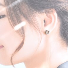 画像9: 冬の新作【選べる・金属アレルギー対応・つけっぱなし】2026午年　ホースシュー　馬蹄　サージカルステンレスピアス  (9)