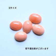 画像10:  春の新作【少量のみ・サイズ選択】希少！高知沖産　天然　ピンクコーラル　珊瑚　ミニ　サージカルステンレスネックレス40cm  (10)