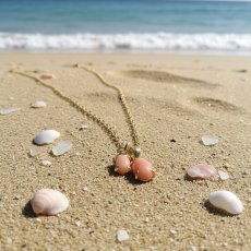 画像14:  春の新作【少量のみ・サイズ選択】希少！高知沖産　天然　ピンクコーラル　珊瑚　ミニ　サージカルステンレスネックレス40cm  (14)