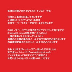 画像1: お問い合わせのT・Yさま商品説明欄またはWEB店トップページご確認ください【限定数のみ】南の島の海を切り取った　アパタイトクリスタル　カボション　金属アレルギー対応サージカルピアス (1)